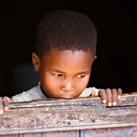 Have grown up without a father or stable home